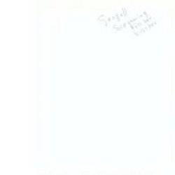 Seagull Screaming Kiss Her Kiss Her : Side Walkin'